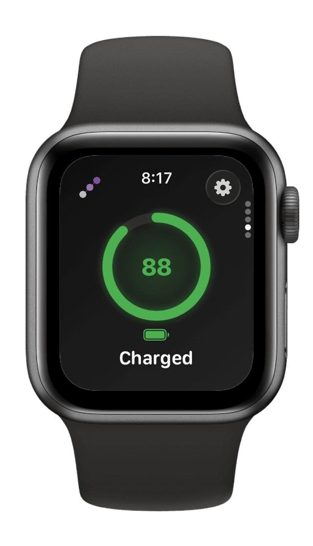 Apple Watch feature 2